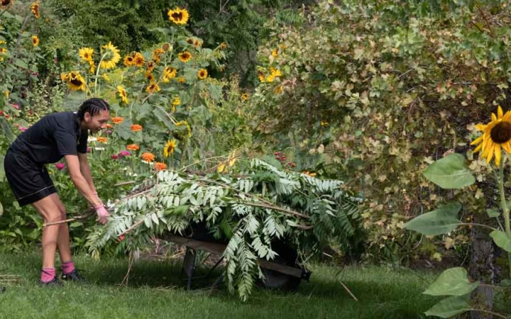 a person loads a wheel barrow with weeds during a service project with outward bound